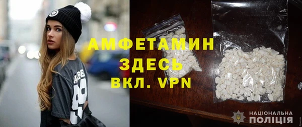 шишки Арсеньев