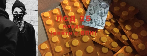 стафф Аркадак