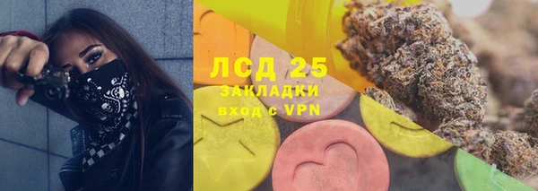 шишки Арсеньев