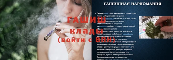 шишки Арсеньев