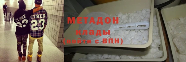 шишки Арсеньев