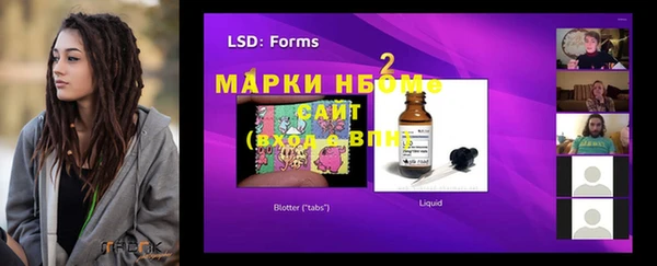 стафф Аркадак