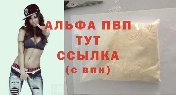 стафф Аркадак