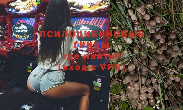 стафф Аркадак