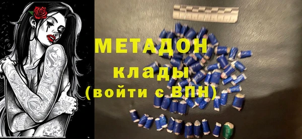 шишки Арсеньев