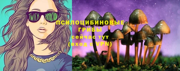 стафф Аркадак