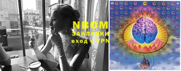 шишки Арсеньев