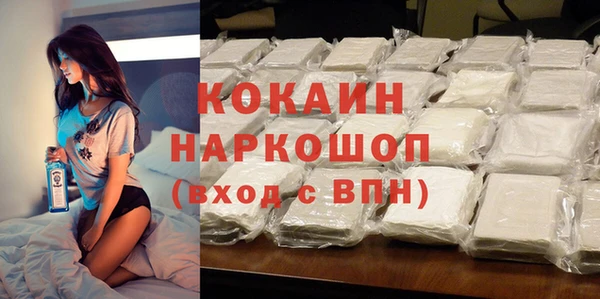 шишки Арсеньев